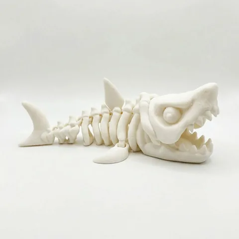 Fóssil Megalodonte Articulado Colecionável 16cm