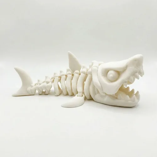 Fóssil Megalodonte Articulado Colecionável 16cm